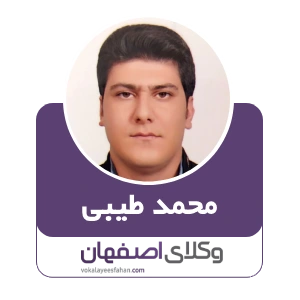 محمد طیبی